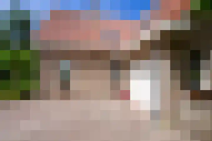 Klinkerlandseweg 28 Nieuwe-Tonge thumbnail 6