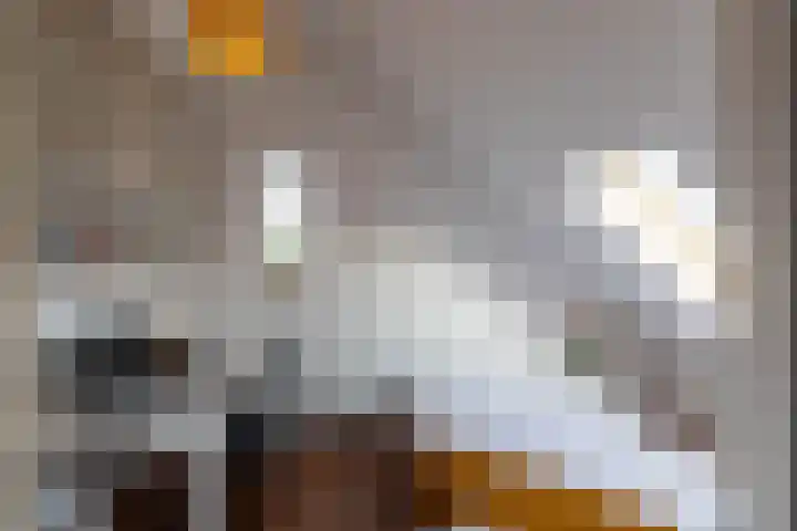 Klinkerstraat 16 Groningen thumbnail 26