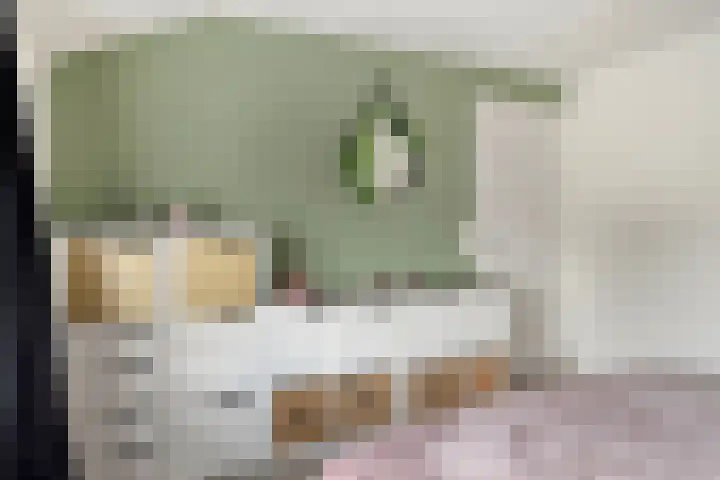 Klinkerstraat 25 Clinge thumbnail 16
