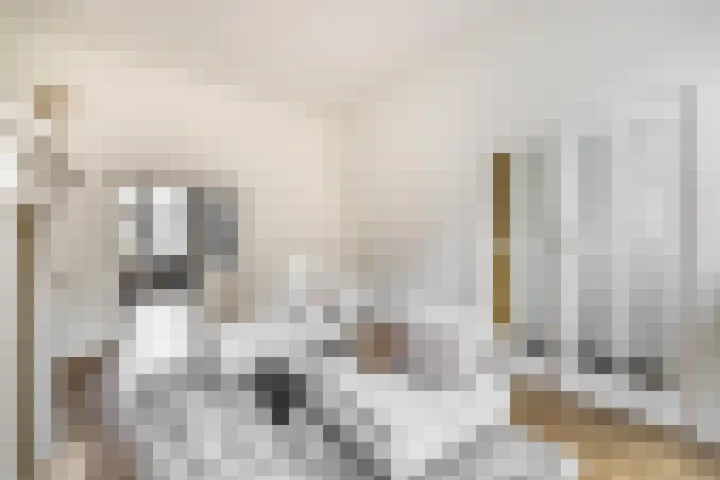 Klinkerstraat 3 Grave thumbnail 16