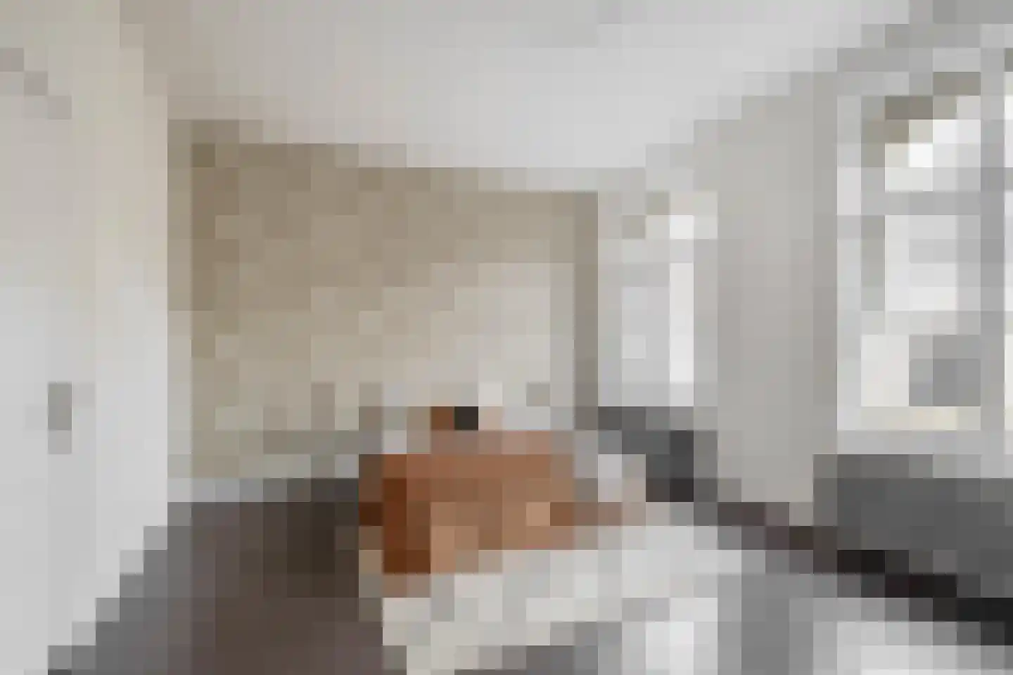 Klinkerstraat 3 Grave thumbnail 36
