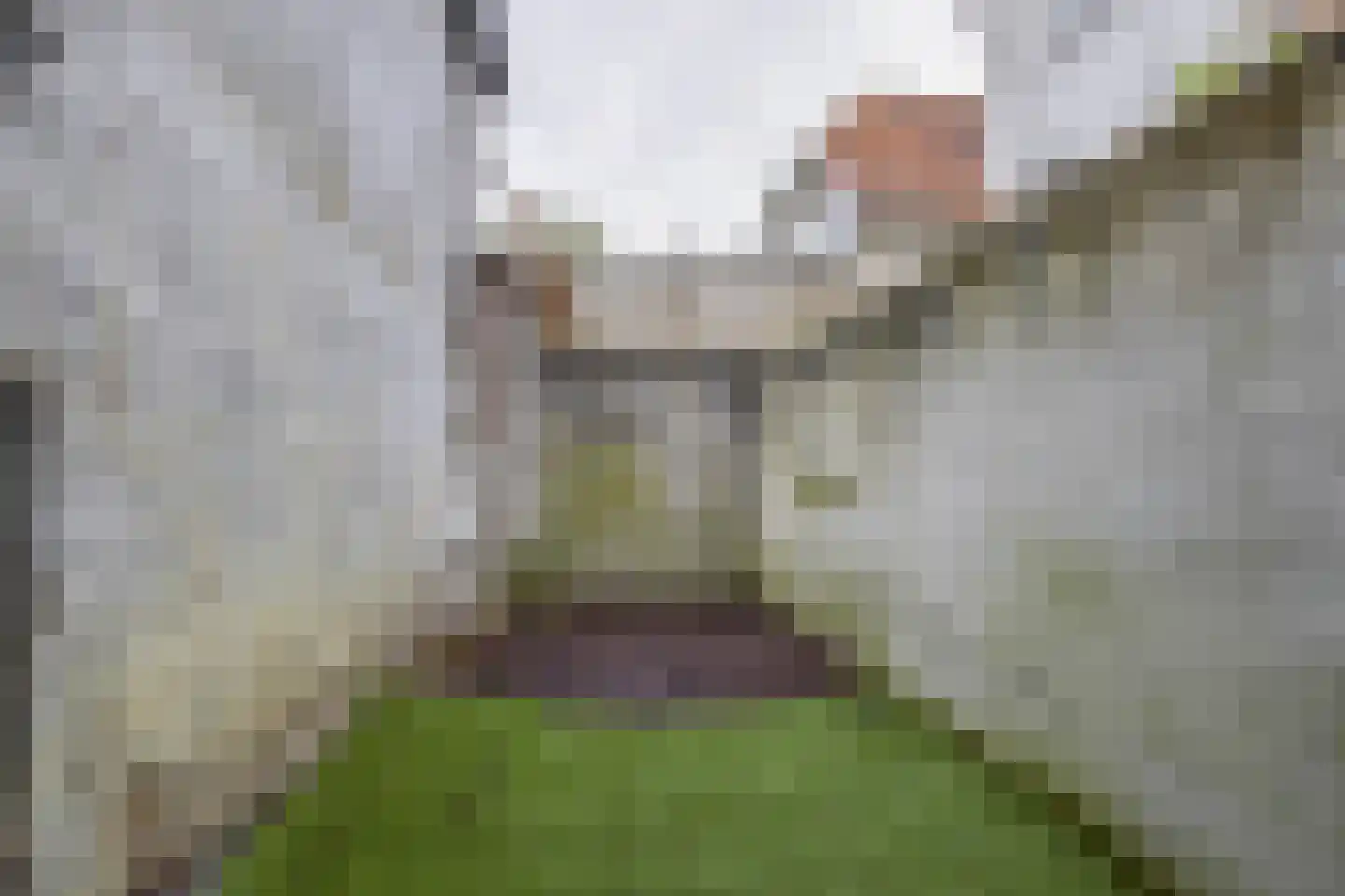 Klinkerstraat 3 Grave thumbnail 5