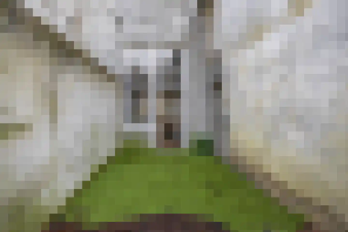 Klinkerstraat 3 Grave thumbnail 51