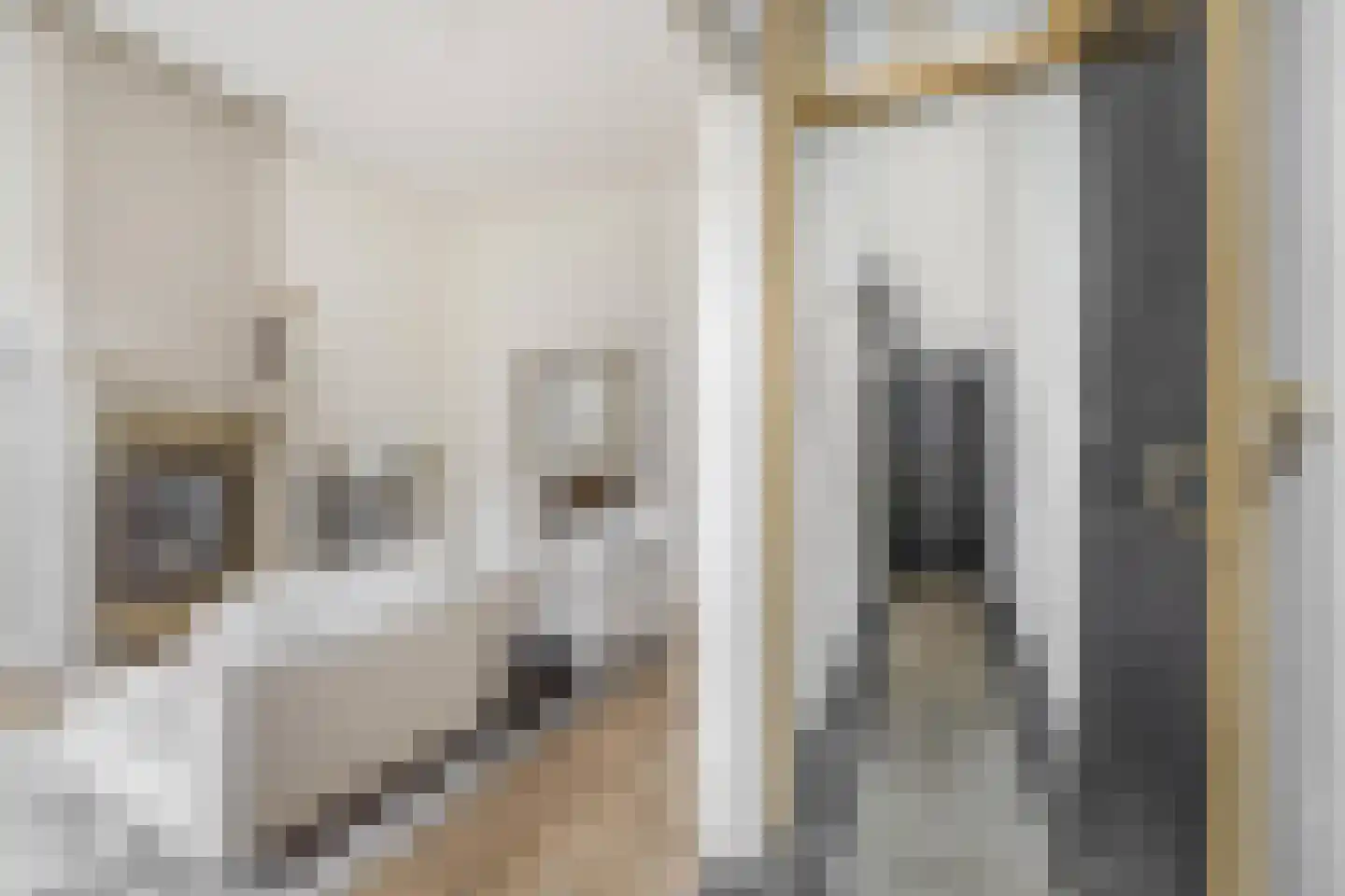 Klinkerstraat 3 Grave thumbnail 7