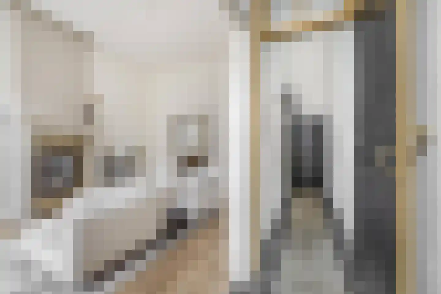 Klinkerstraat 3 Grave thumbnail 8