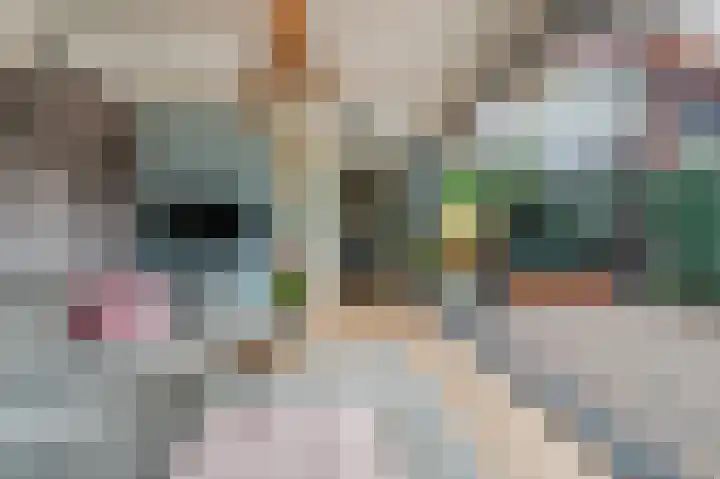 Klinkerstraat 3 Valkenswaard thumbnail 26