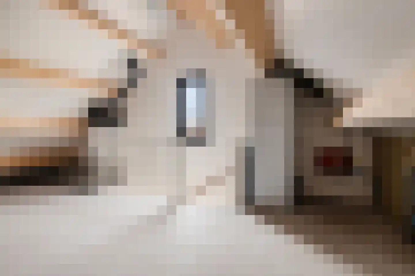 Klinkerstraat 31 Clinge thumbnail 24