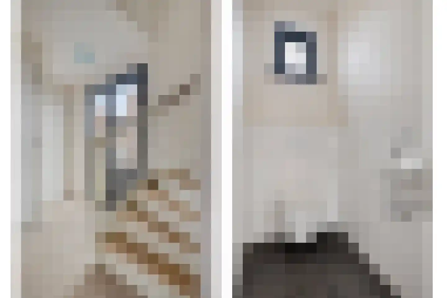 Klinkerstraat 31 Clinge thumbnail 5