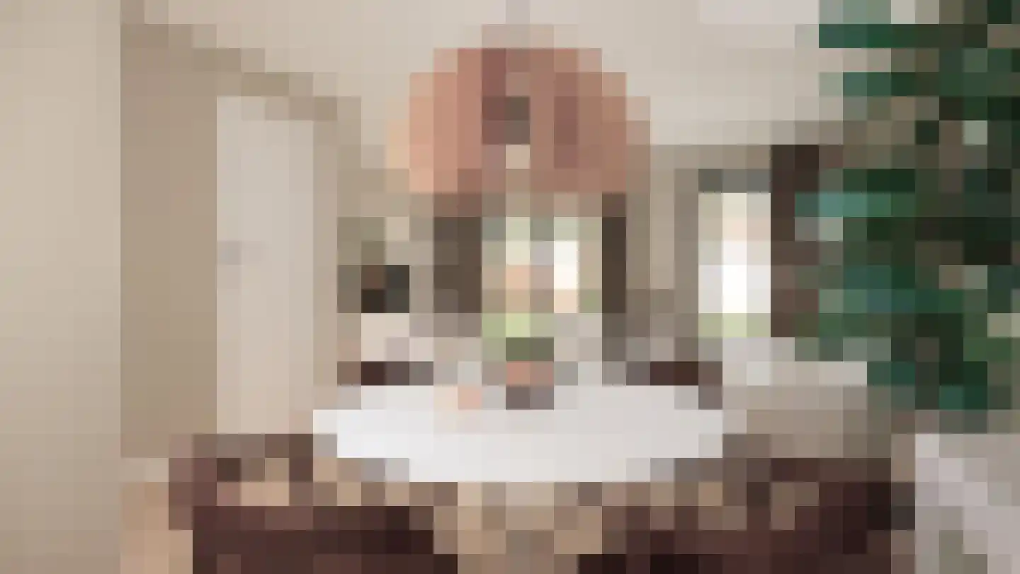 Klinkerstraat 31 Clinge thumbnail 8
