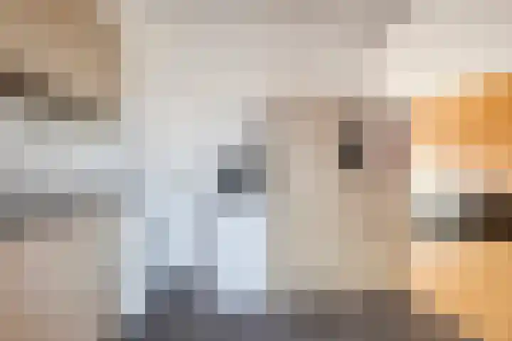 Klinkerstraat 32 Clinge thumbnail 17