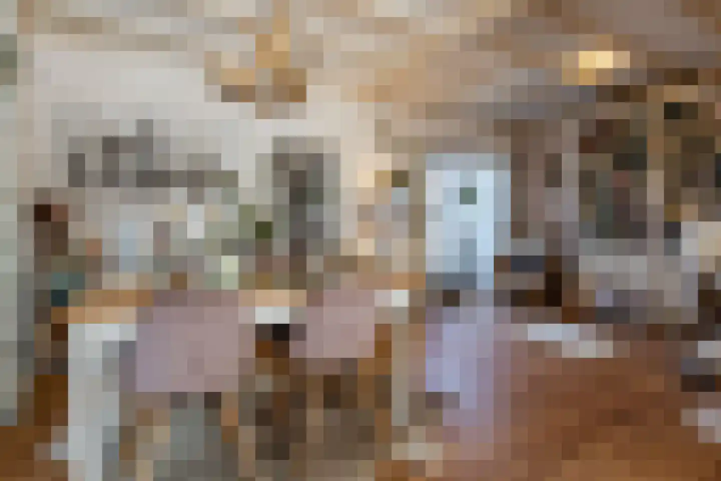 Klinkerstraat 34 's-Heerenberg thumbnail 14