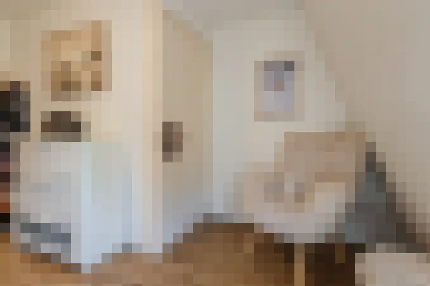 Klinkerstraat 34 's-Heerenberg thumbnail 32