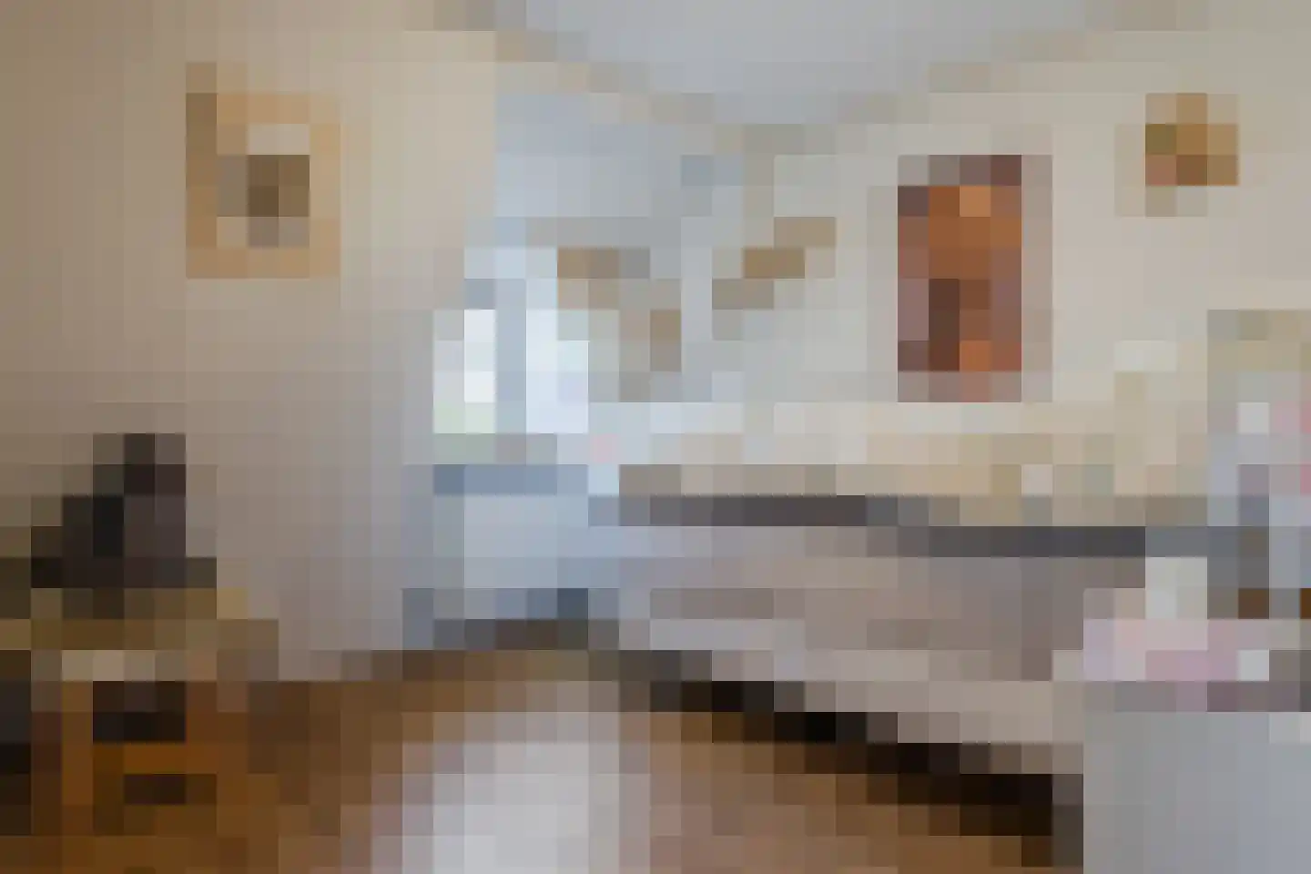 Klinkerstraat 34 's-Heerenberg thumbnail 33