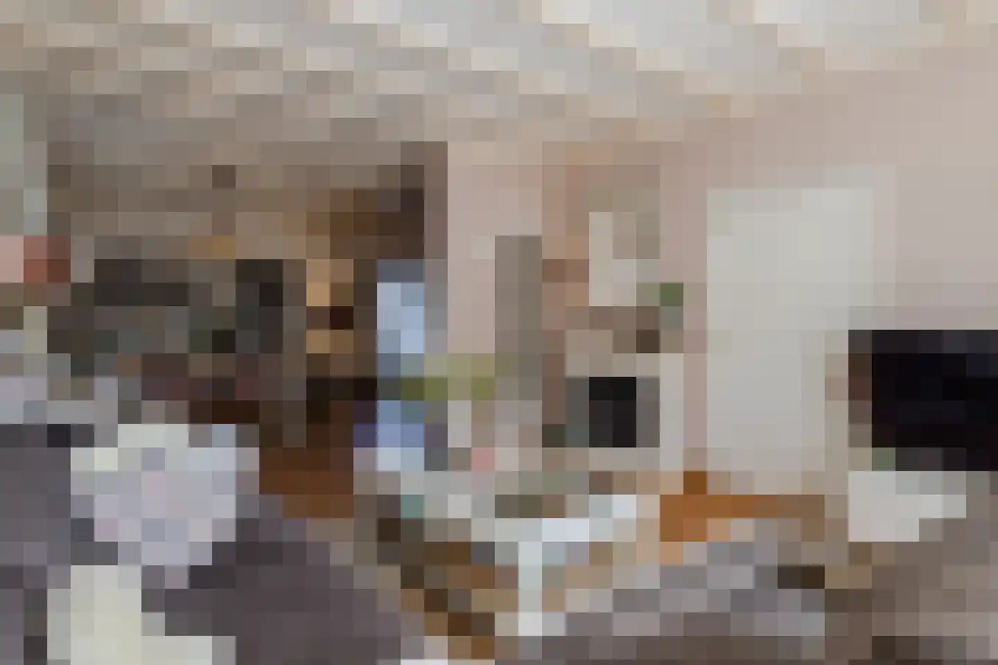 Klinkerstraat 34 's-Heerenberg thumbnail 8