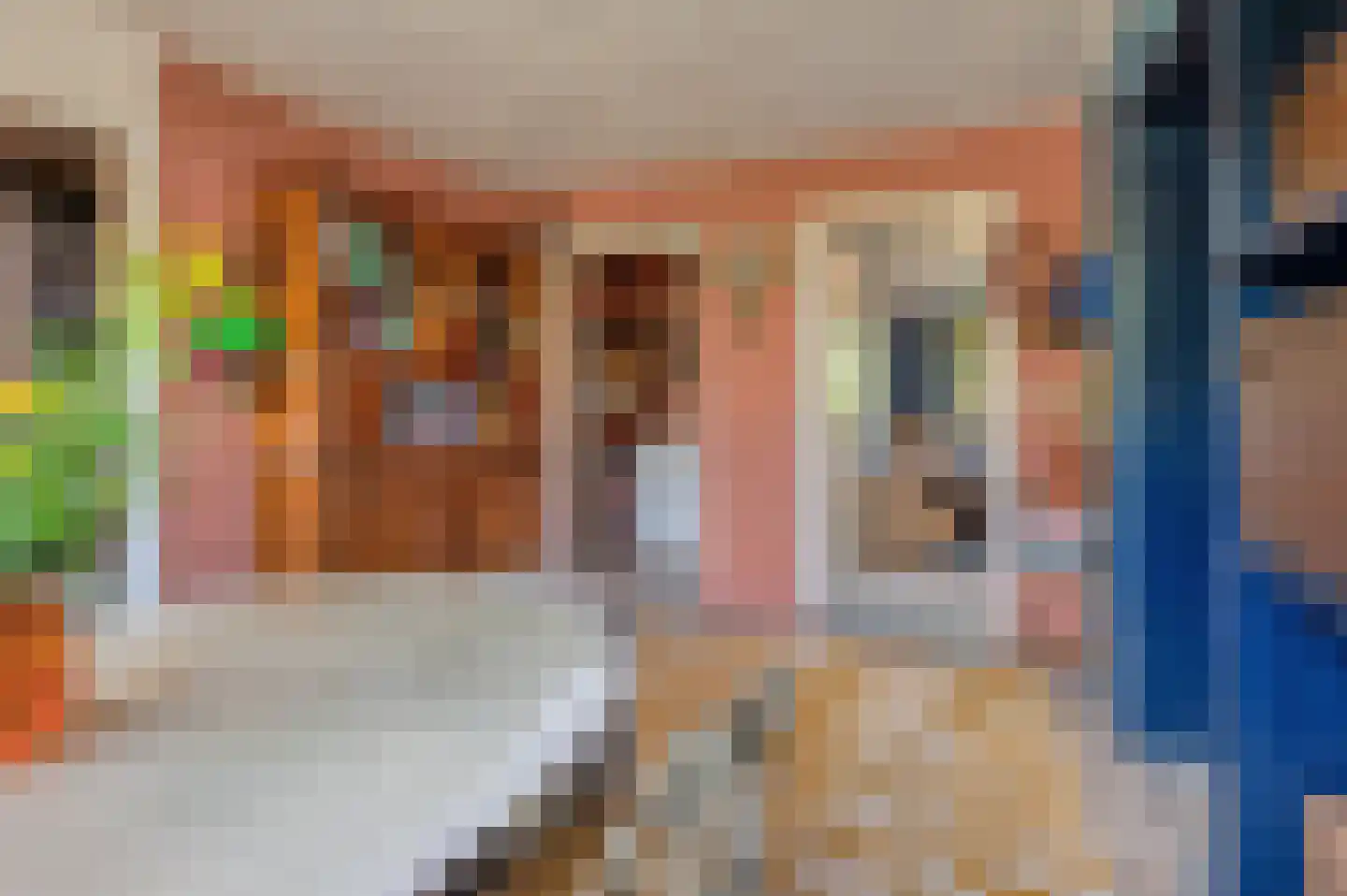 Klinkerstraat 41 Oostwold thumbnail 18