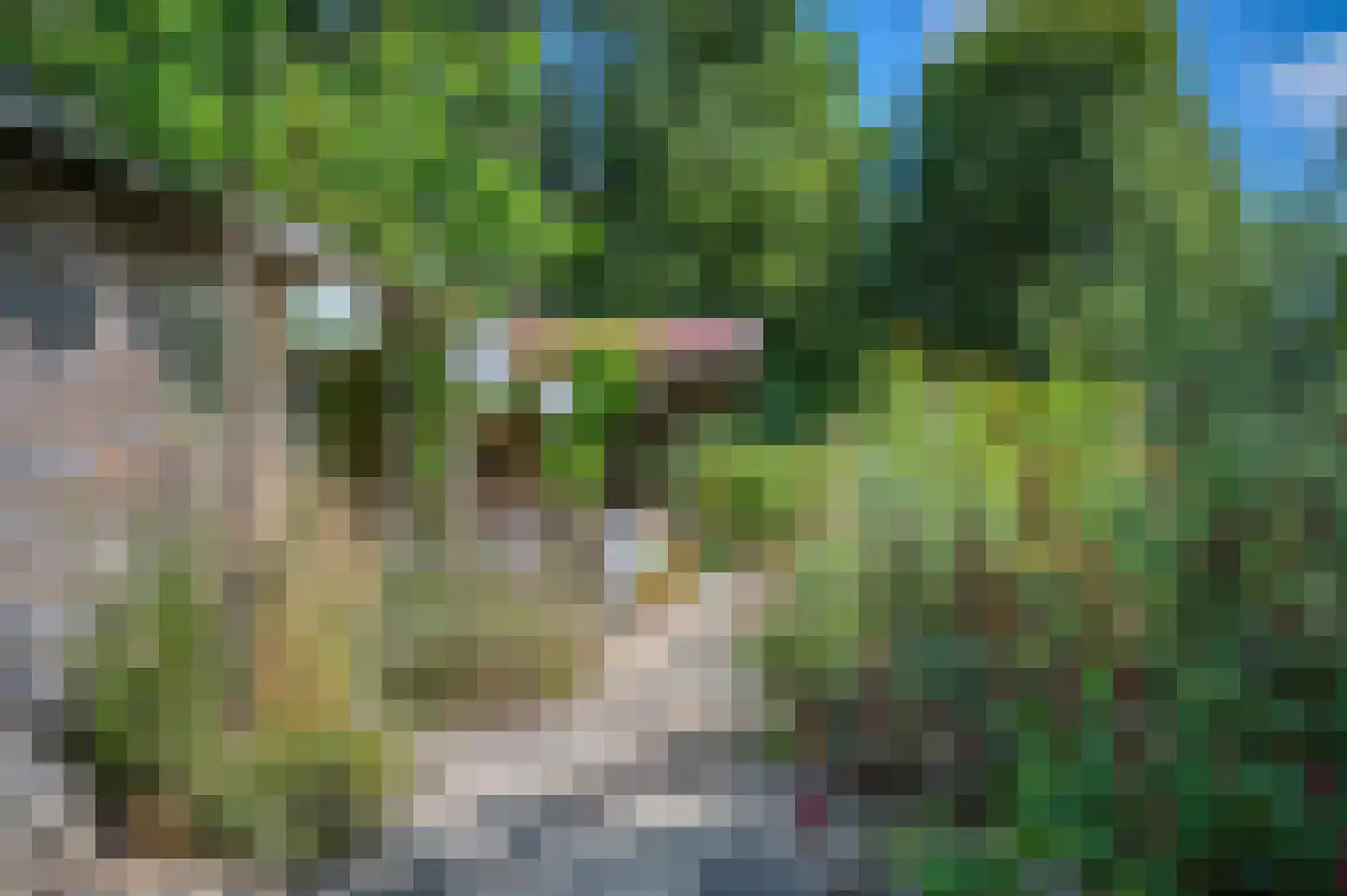Klinkerstraat 41 Oostwold thumbnail 38