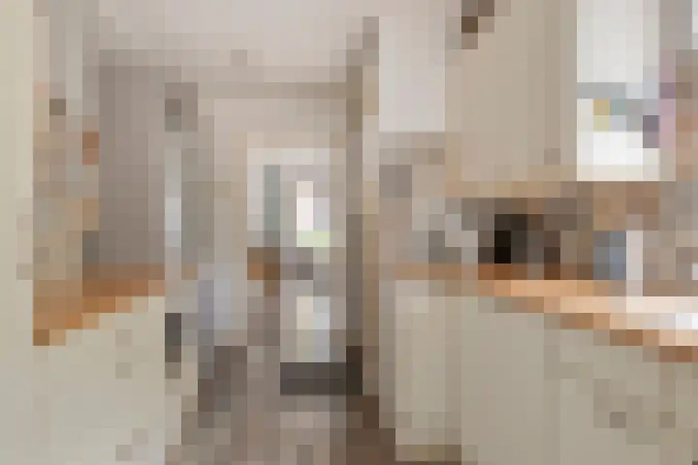 Klinkerstraat 46 's-Heerenberg thumbnail 14