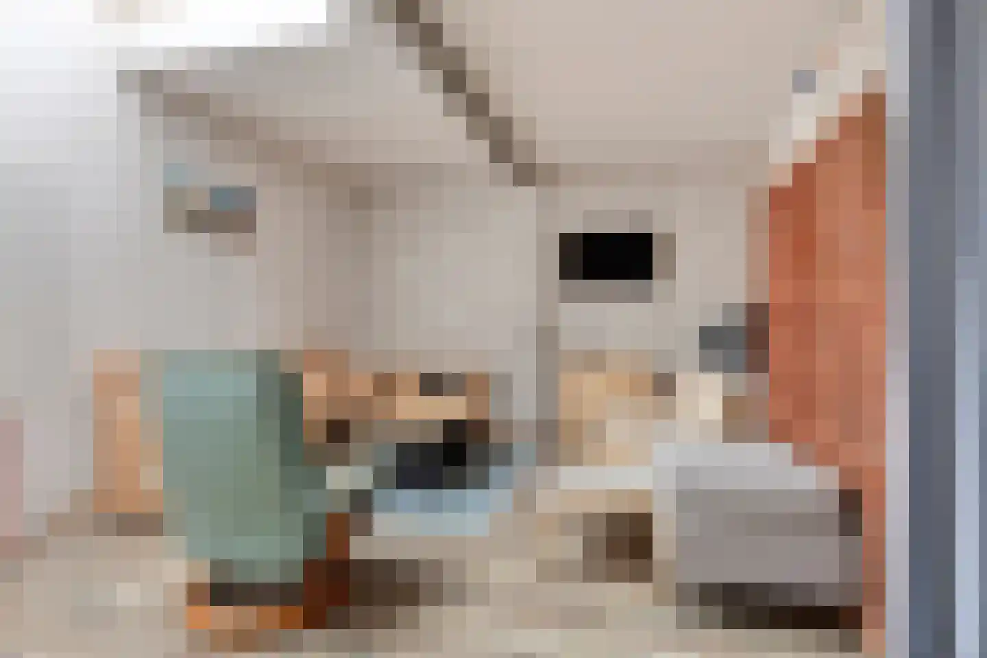 Klinkerstraat 46 's-Heerenberg thumbnail 45