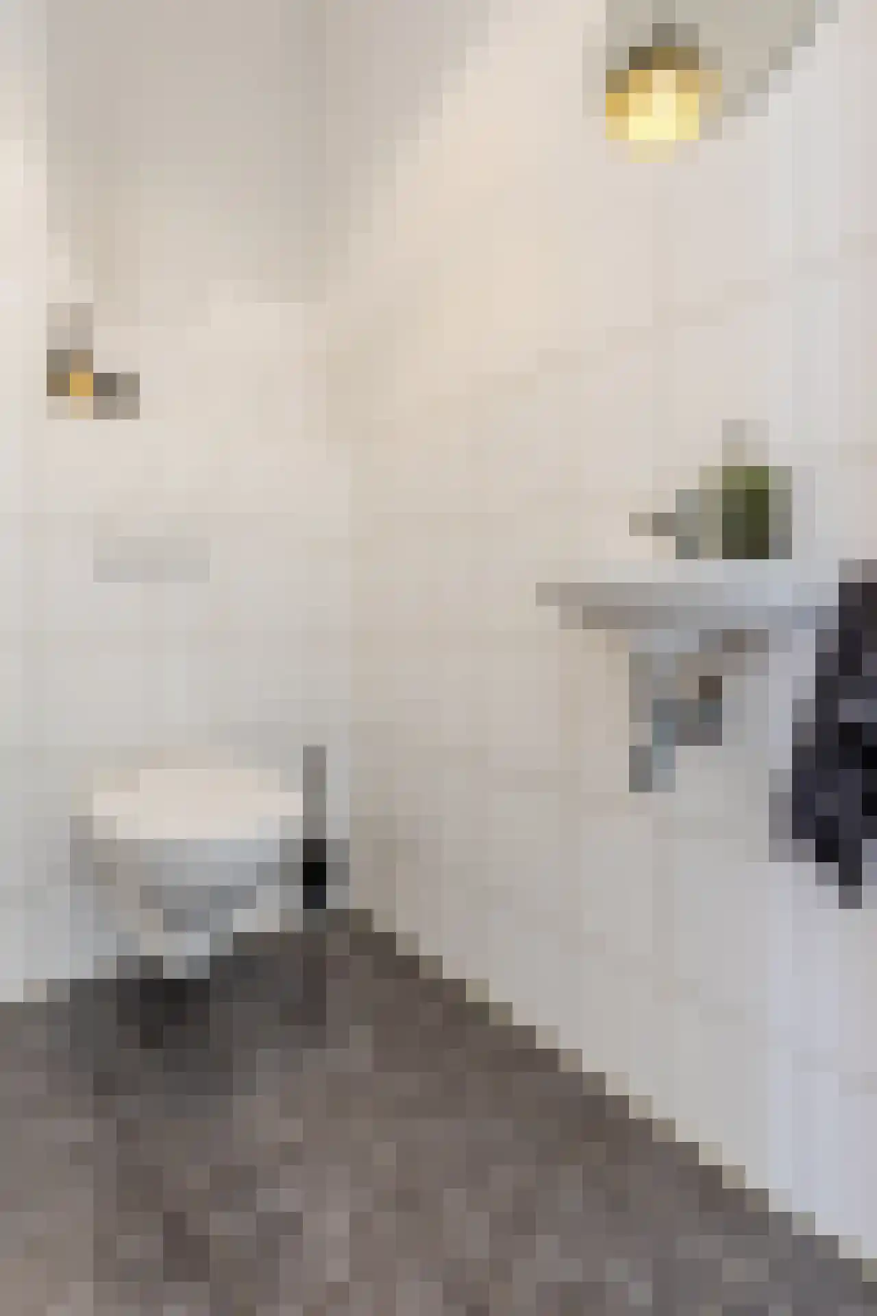 Klinkerstraat 5 Valkenswaard thumbnail 8