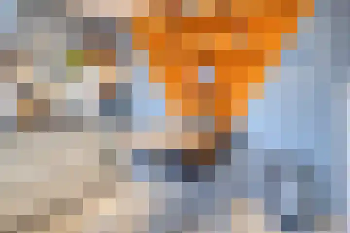 Klinkerstraat 8 A Clinge thumbnail 11