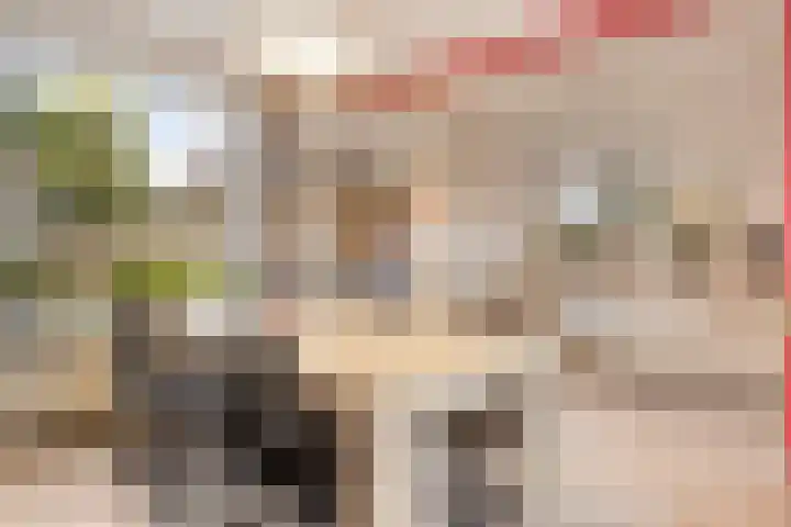 Klinkerstraat 8 A Clinge thumbnail 7