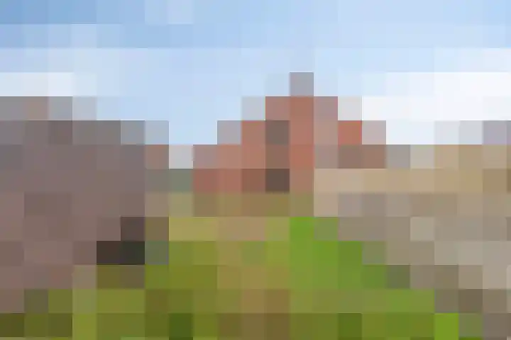 Klinkerstraat 91 Oostwold thumbnail 25