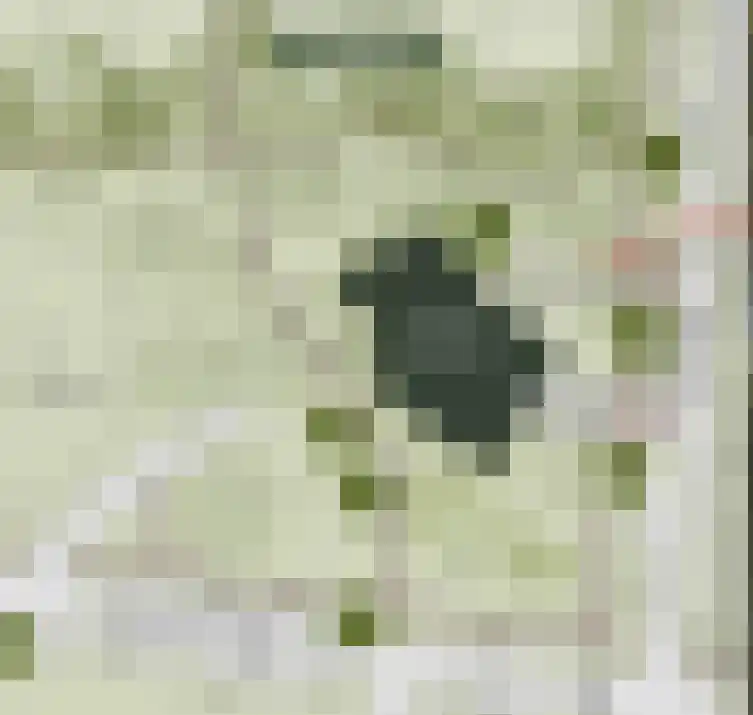 Klinkertlaan 8 Ermelo thumbnail 7