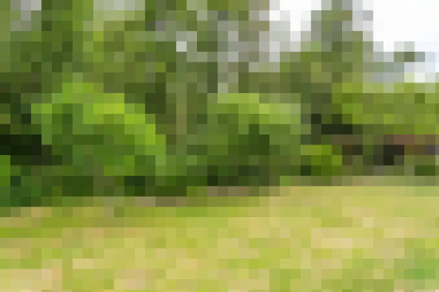 Klinkertstraat 35 Hoensbroek thumbnail 39