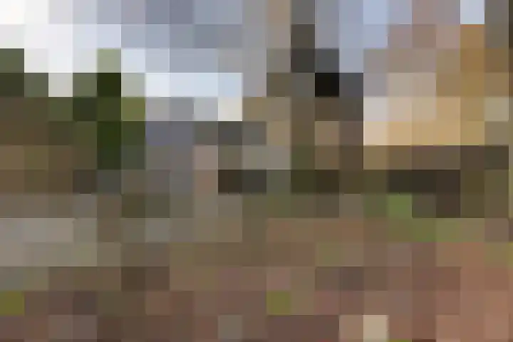 Klinkerweg 126 Finsterwolde thumbnail 8