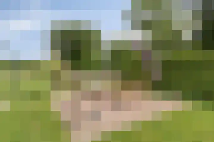 Klinkerweg 99 Finsterwolde thumbnail 38