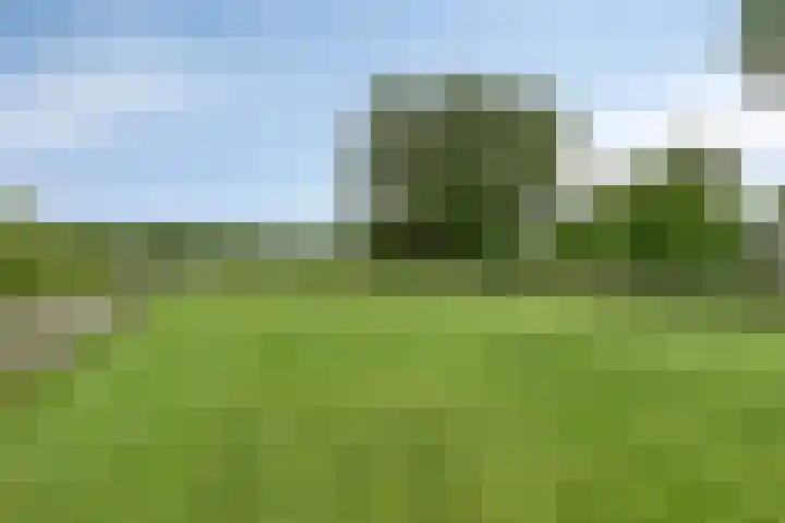 Klinkerweg 99 Finsterwolde thumbnail 39