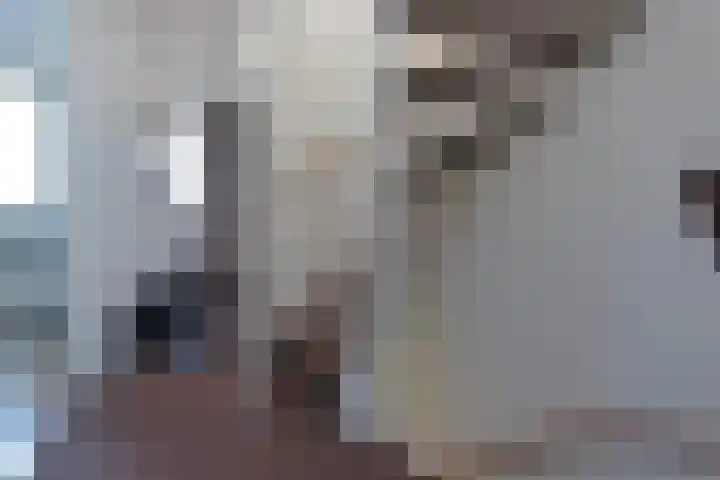 Klinkhamer 22 Nieuwkoop thumbnail 21