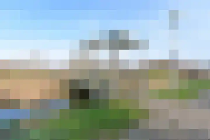 Klinkhamer 22 Nieuwkoop thumbnail 31