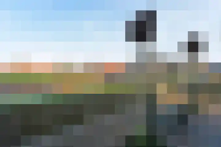 Klinkhamer 22 Nieuwkoop thumbnail 34
