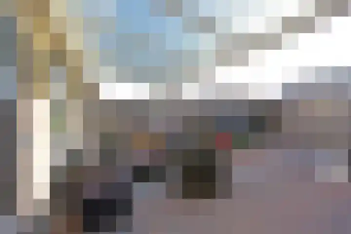 Klinkhamer 22 Nieuwkoop thumbnail 9