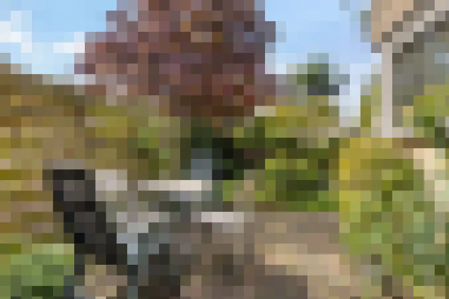 Klinkveld 14 Soest thumbnail 35