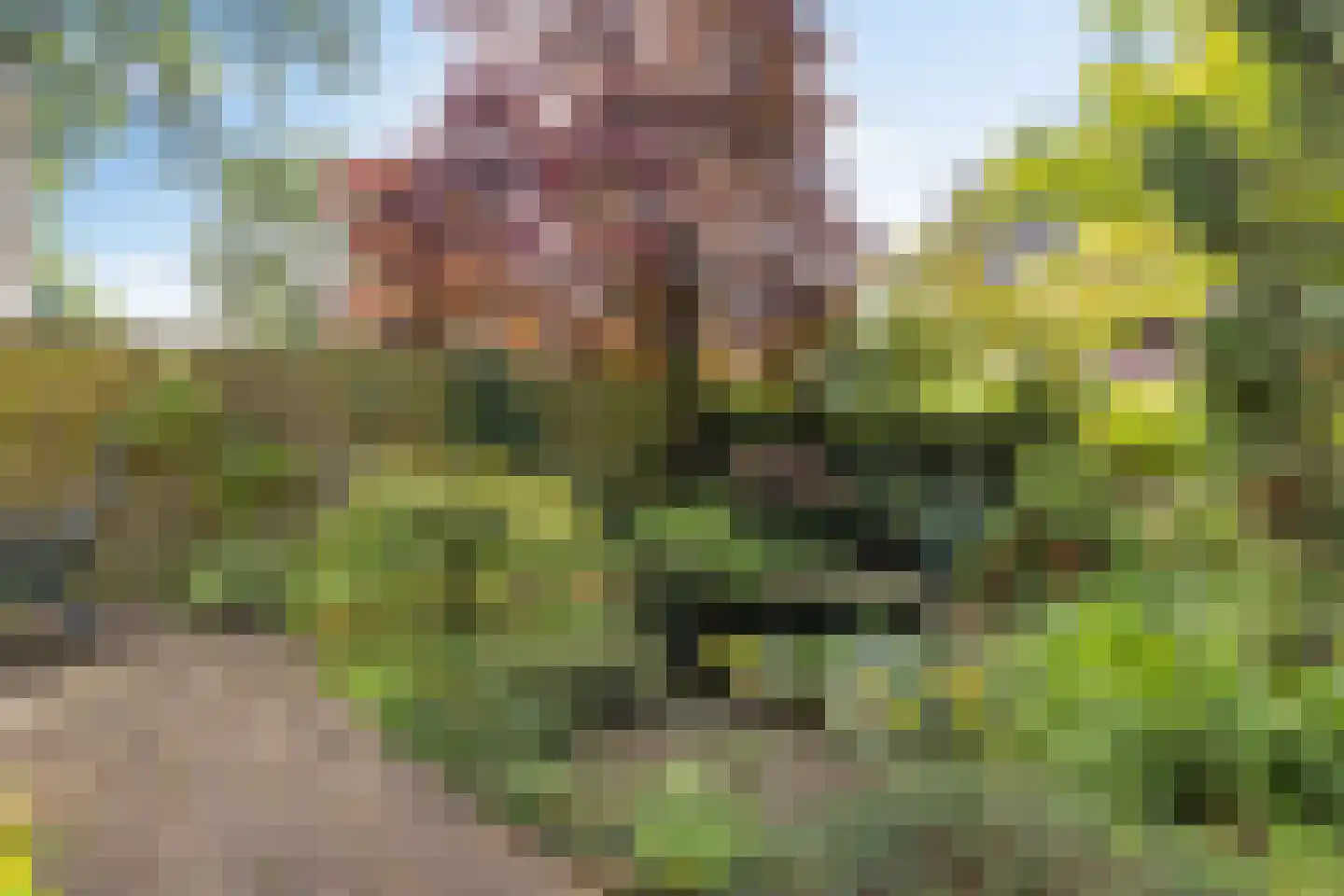 Klinkveld 14 Soest thumbnail 36