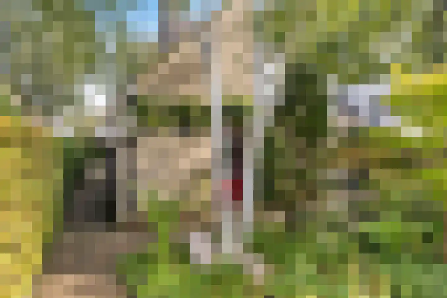 Klinkveld 14 Soest thumbnail 37