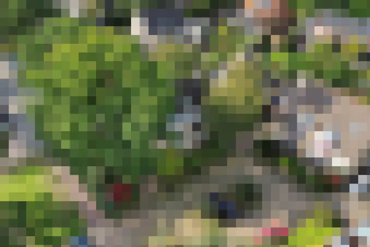 Klinkveld 14 Soest thumbnail 39