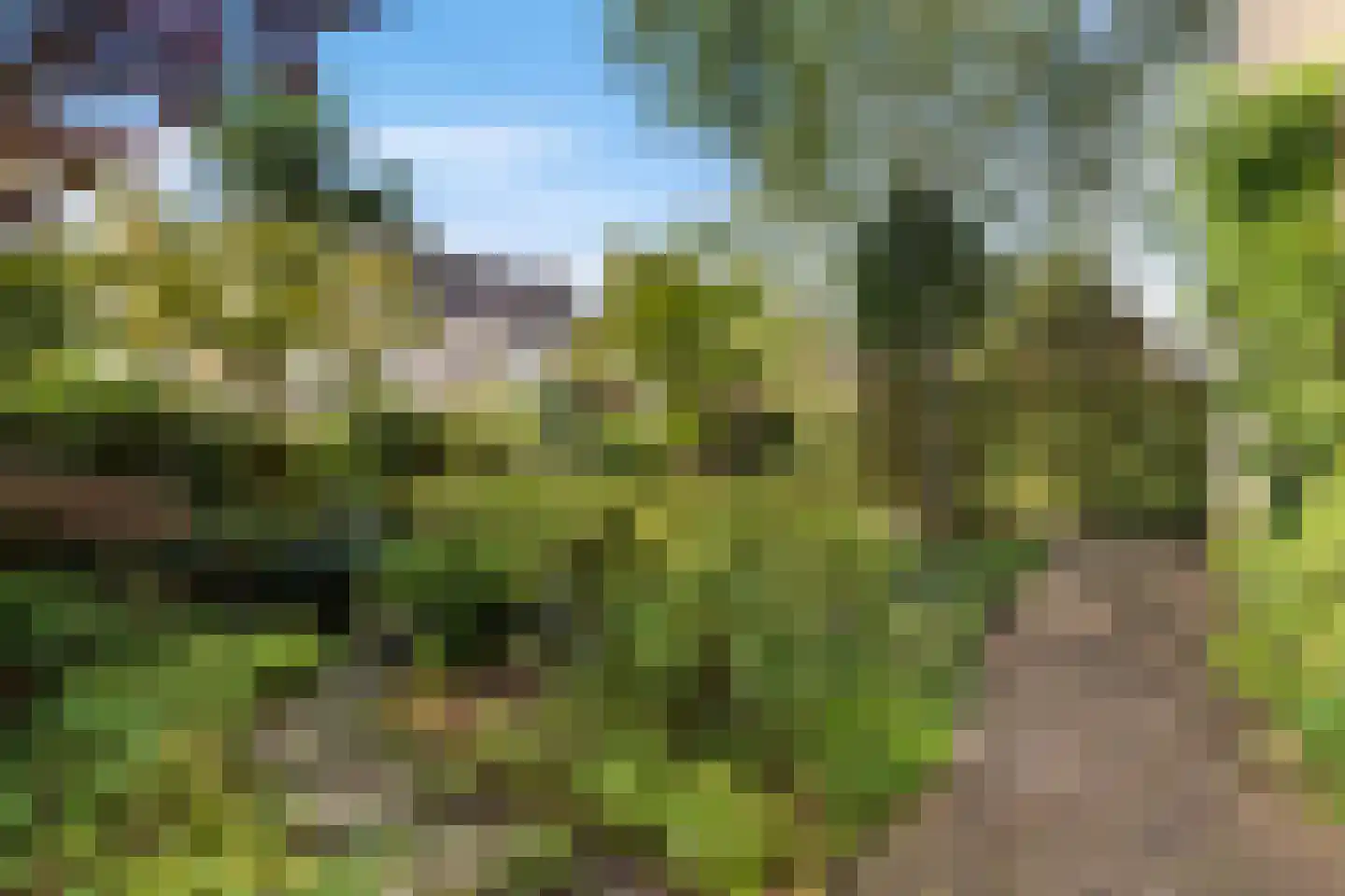 Klinkveld 14 Soest thumbnail 5