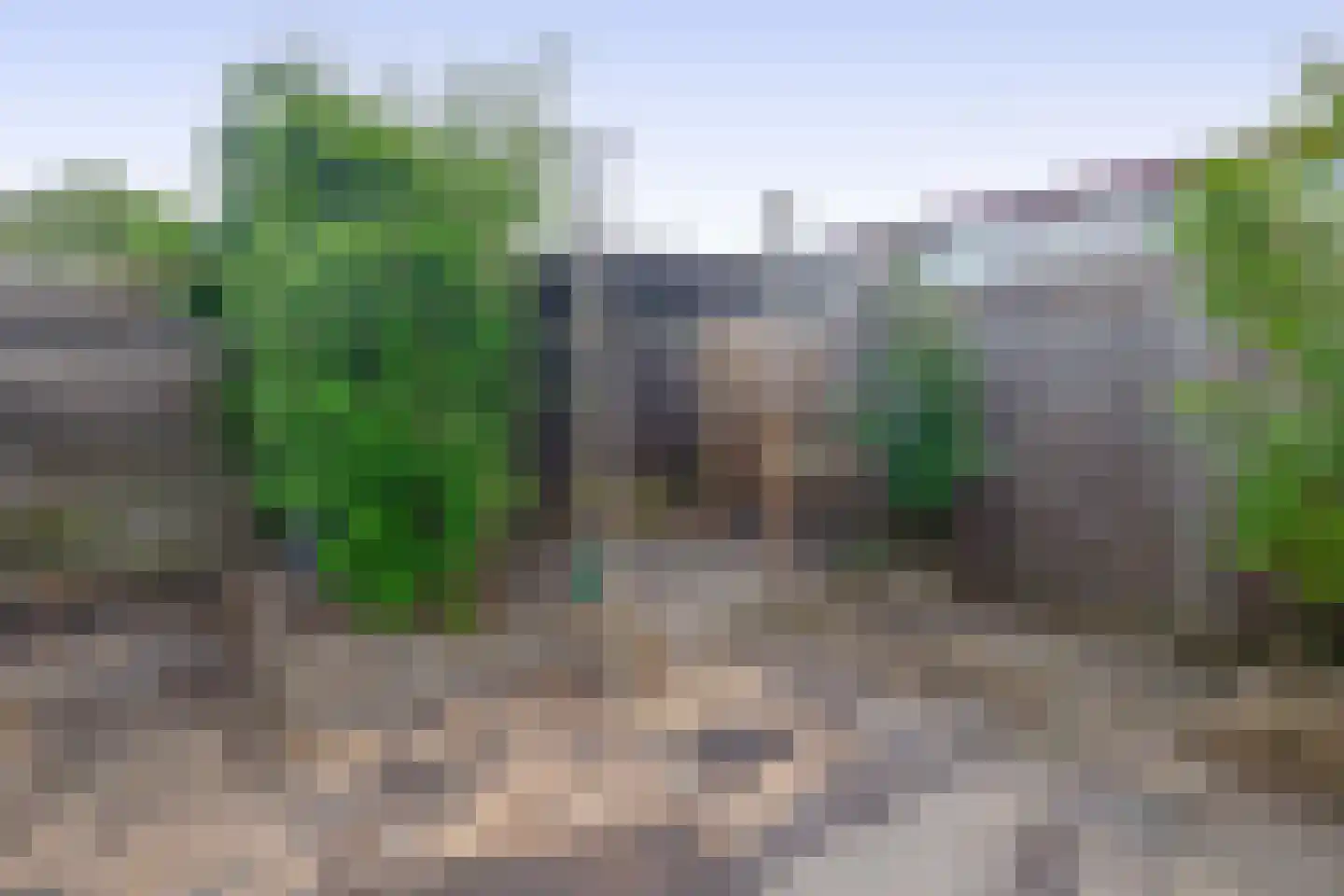 Klip 131 Lelystad thumbnail 35