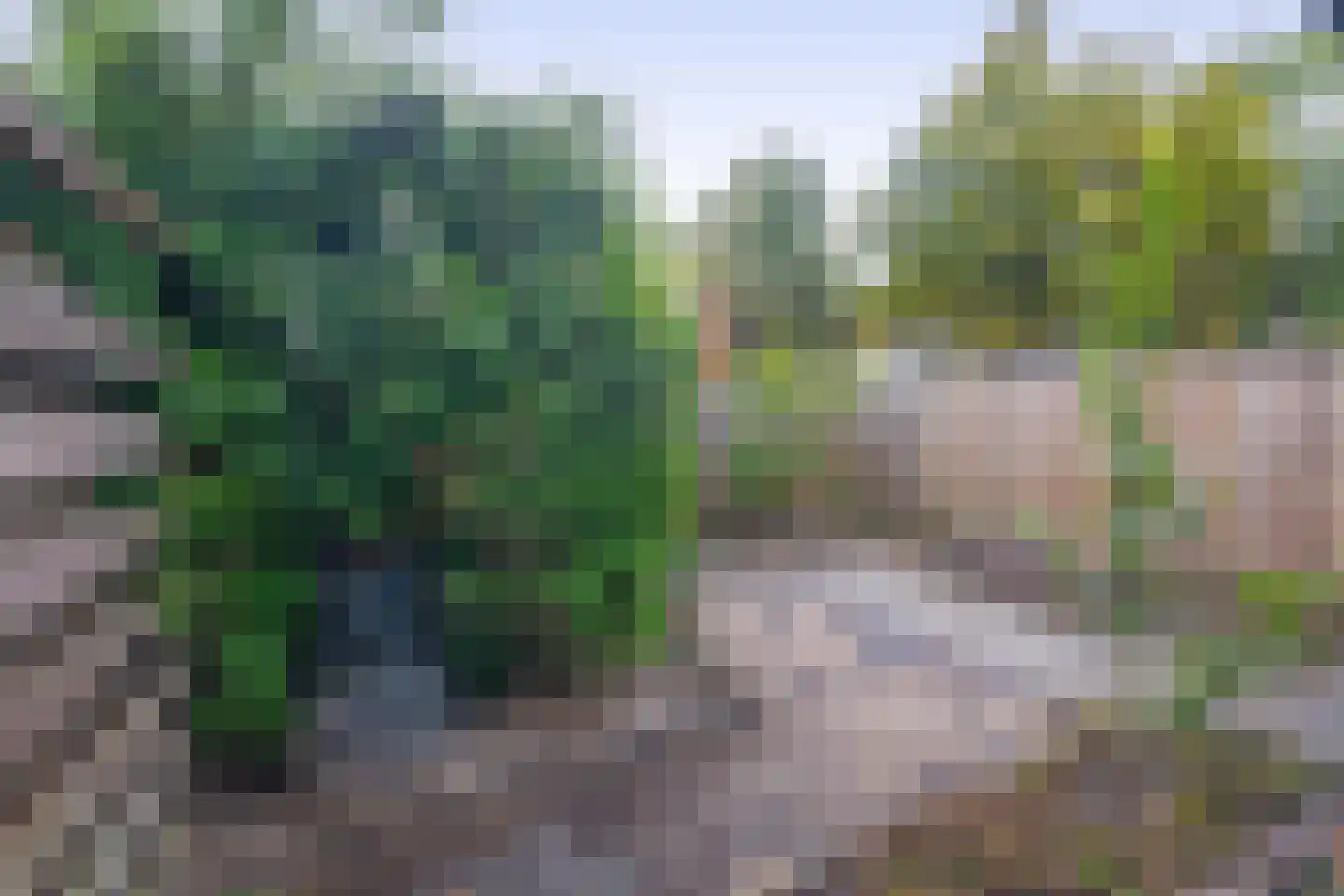 Klip 131 Lelystad thumbnail 5