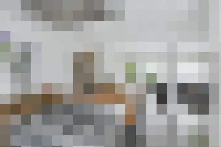 Klip 143 Lelystad thumbnail 10