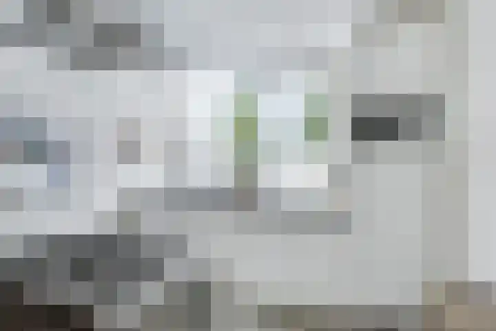 Klip 143 Lelystad thumbnail 12
