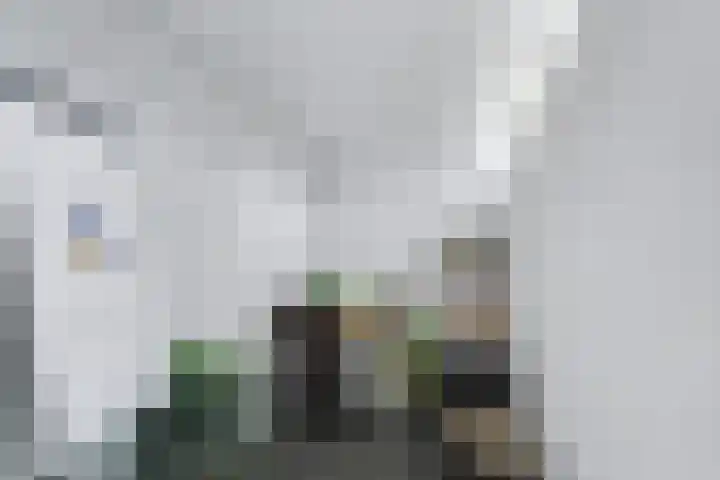 Klip 143 Lelystad thumbnail 14