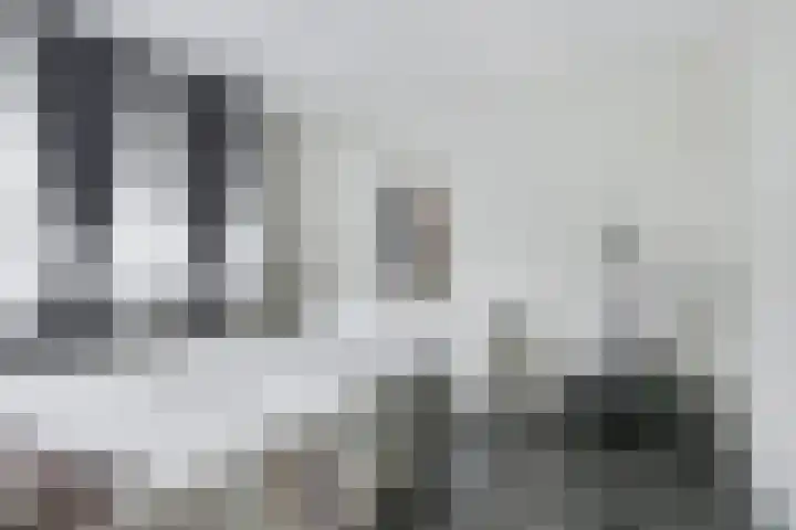 Klip 143 Lelystad thumbnail 18