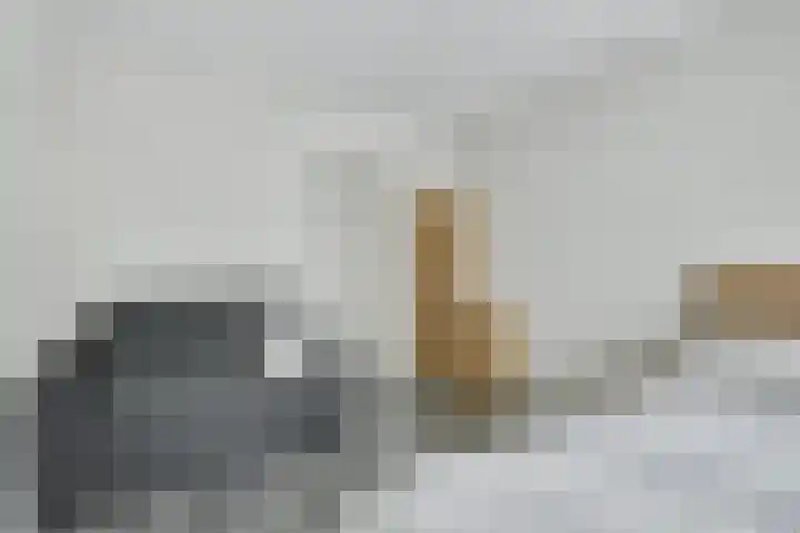 Klip 143 Lelystad thumbnail 20