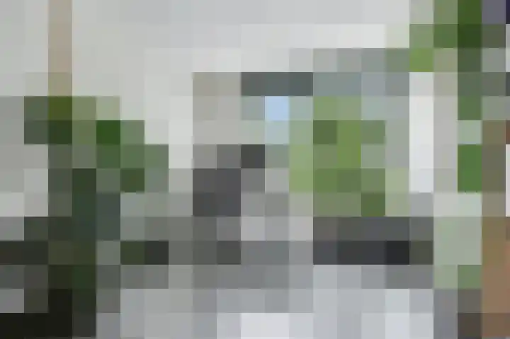 Klip 143 Lelystad thumbnail 23