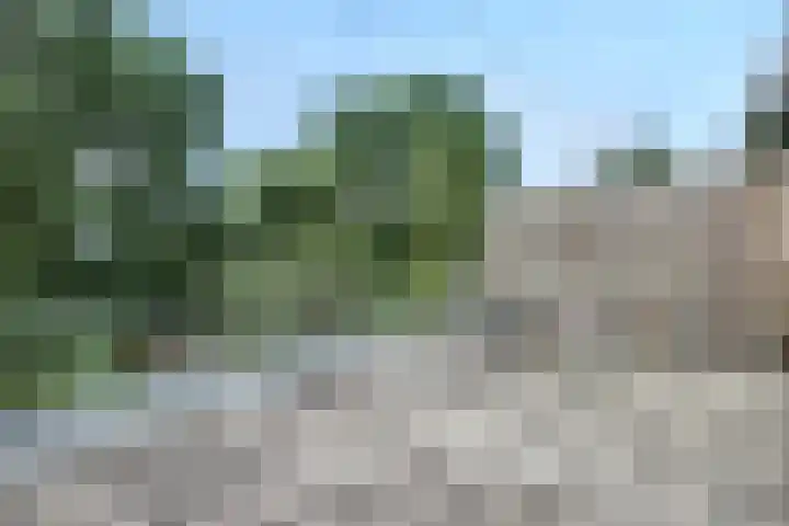 Klip 143 Lelystad thumbnail 27