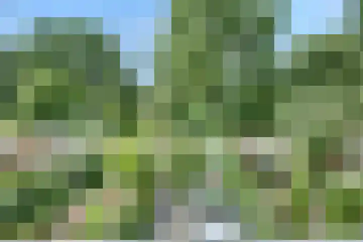 Klip 143 Lelystad thumbnail 28